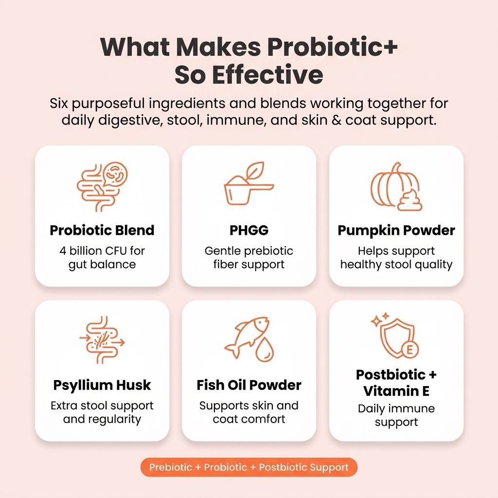 Probiotic+ Soft Chews