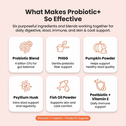 Probiotic+ Soft Chews