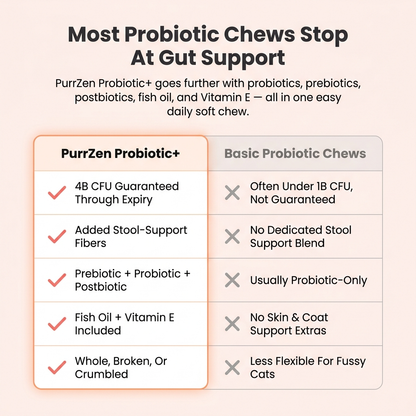 Probiotic+ Soft Chews
