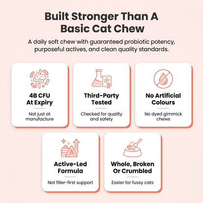 Probiotic+ Soft Chews