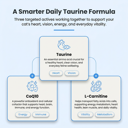 PureTaurine+